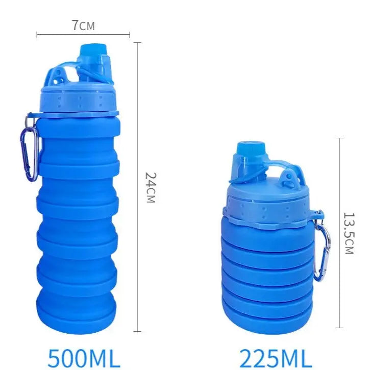 Collapsible Travel Water Bottle - 500ml / Blue