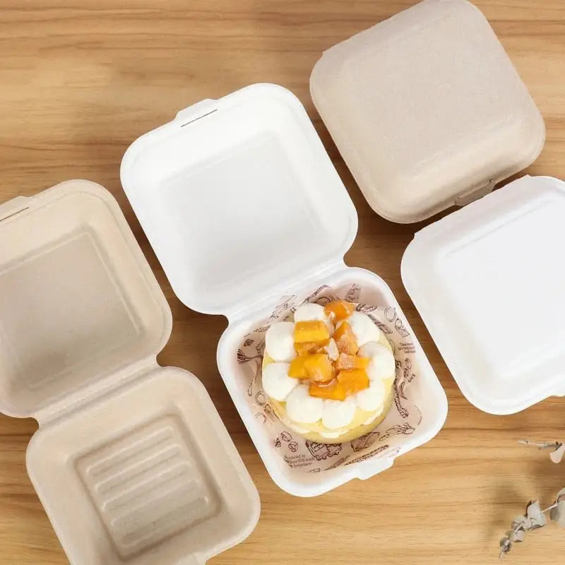 Disposable Bento Snack Container