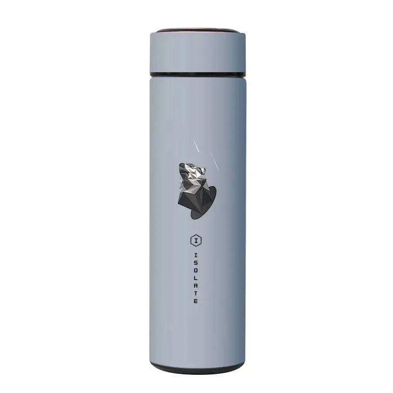 Dreamy Stainless Steel Water Bottle - 480ml / Grey