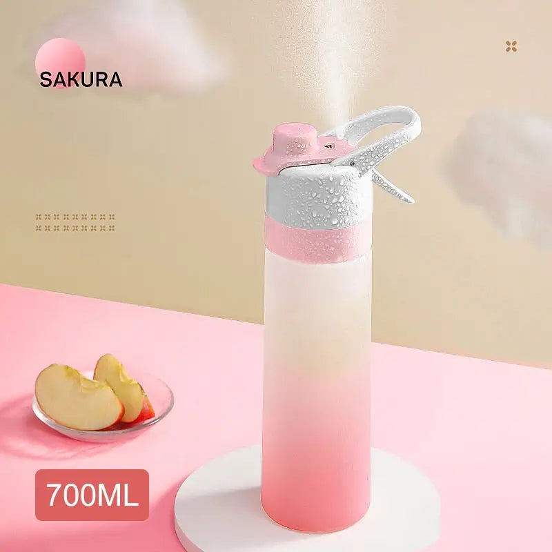 Frosted Gradient Sports Water Bottle - 700ml / Pink