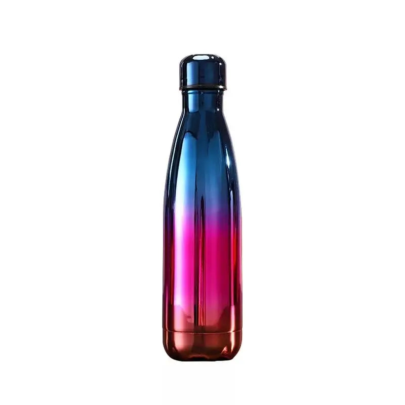 Glossy Stainless Steel Water Bottle - Blue Pink Gold