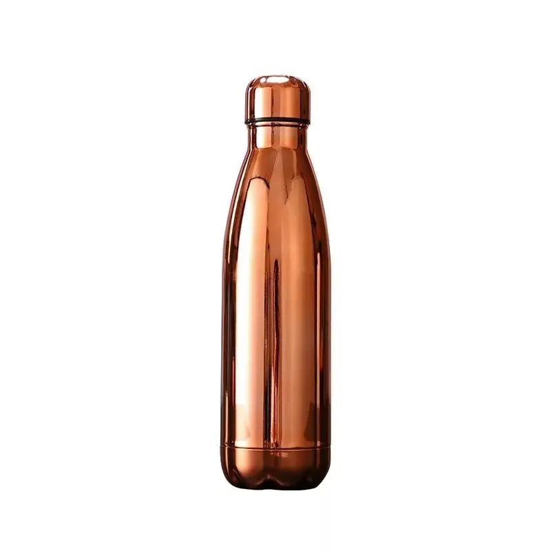 Glossy Stainless Steel Water Bottle - Brown