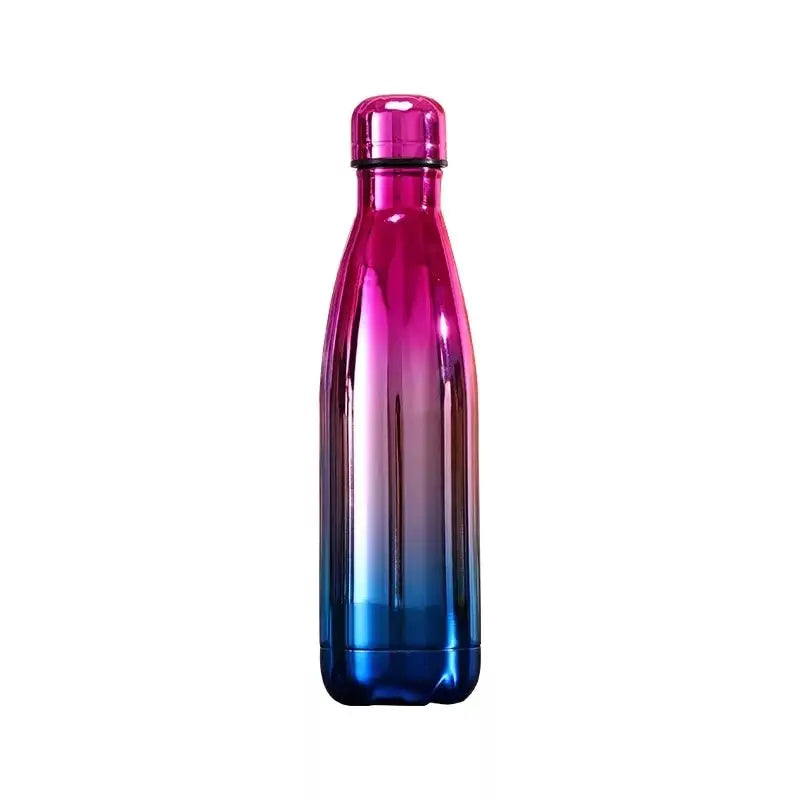 Glossy Stainless Steel Water Bottle - Pink Silver Blue