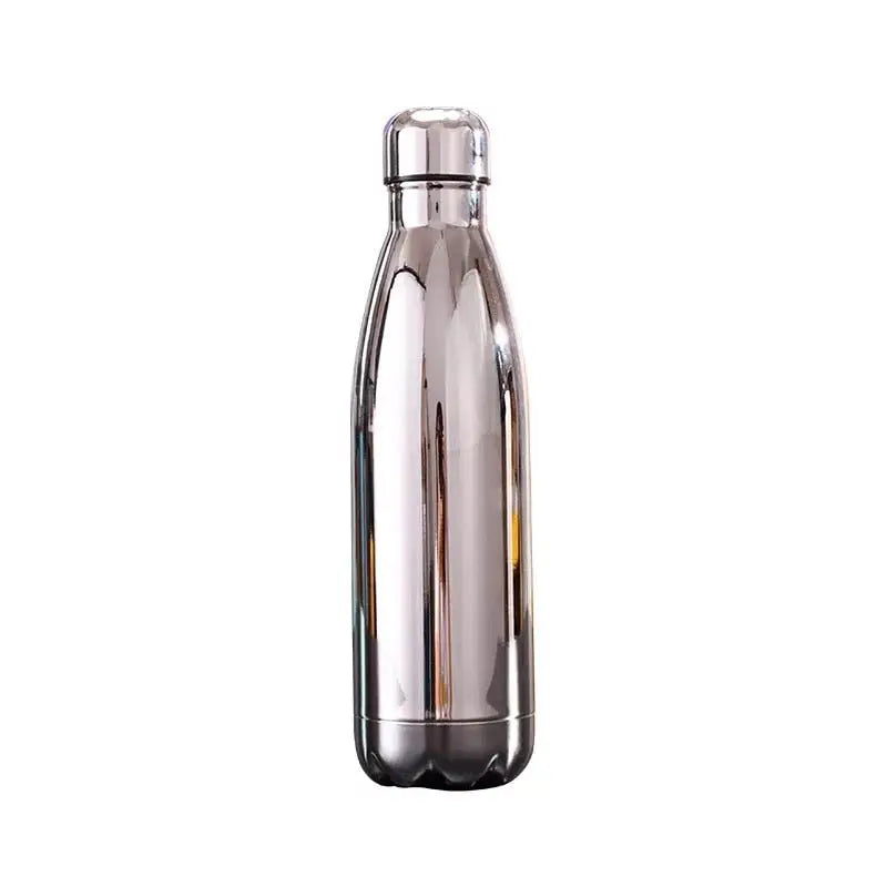 Glossy Stainless Steel Water Bottle - Silver