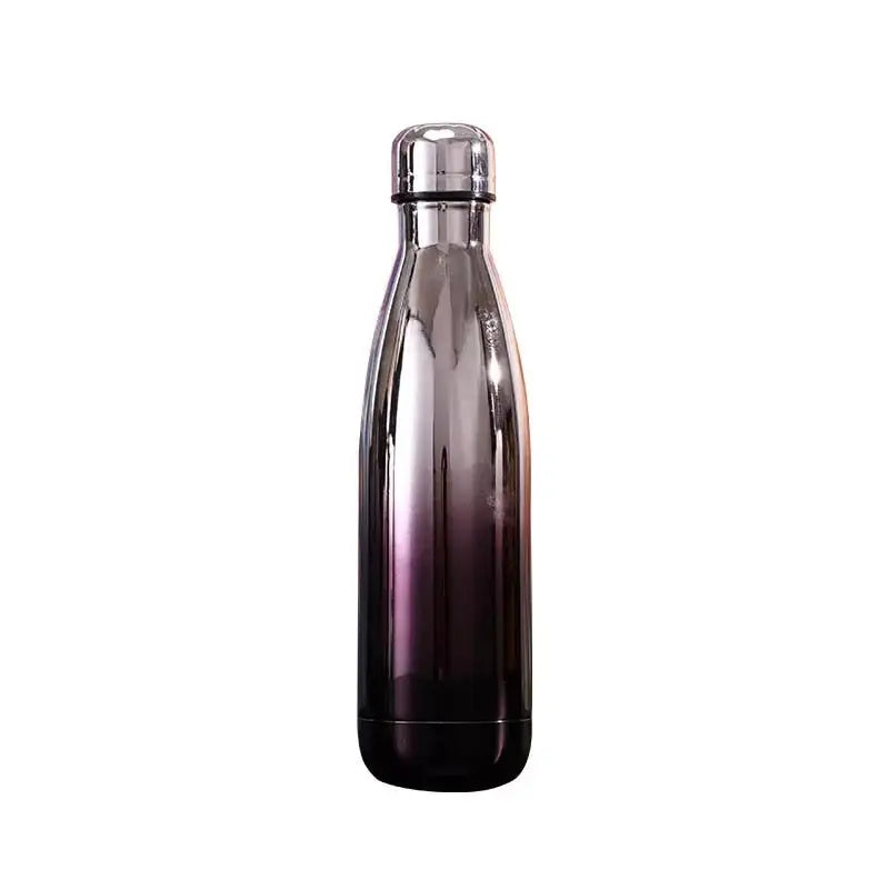 Glossy Stainless Steel Water Bottle - Silver Black