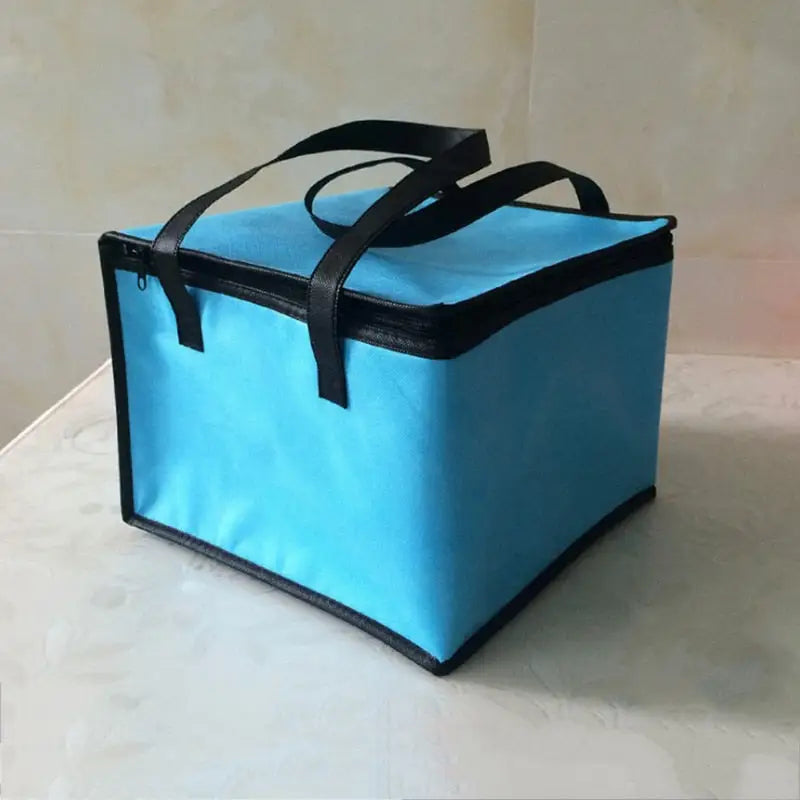 Insulated Food Delivery Bags - Blue