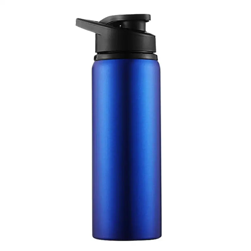 Insulated Sports Water Bottles - 601-700ml / Blue