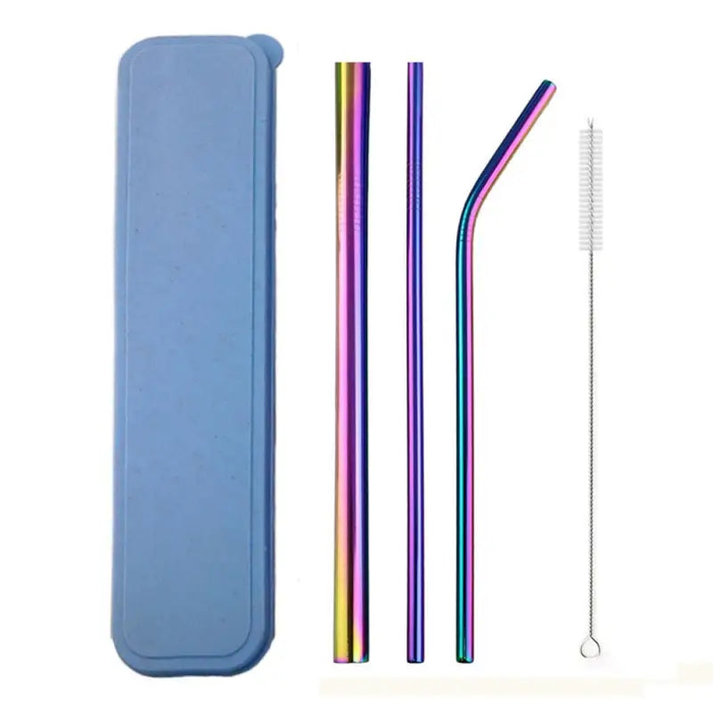 Reusable Straws with Case