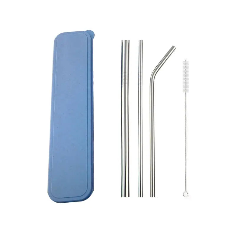 Reusable Straws with Case - Silver