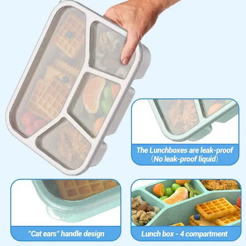 Snack Containers for Adults