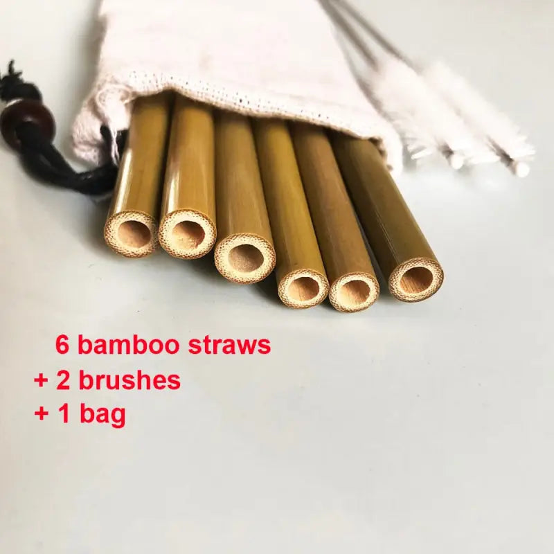 Bamboo Reusable Straws - 6 pcs