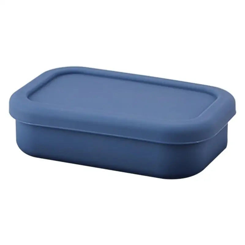 Bento Box Tupperware - Blue L