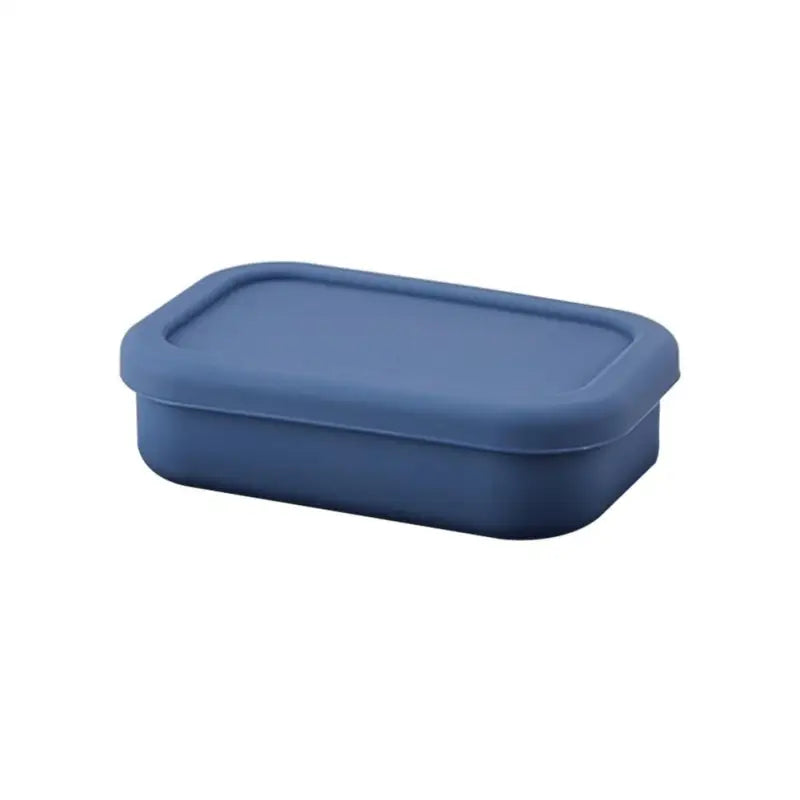 Bento Box Tupperware - Blue M