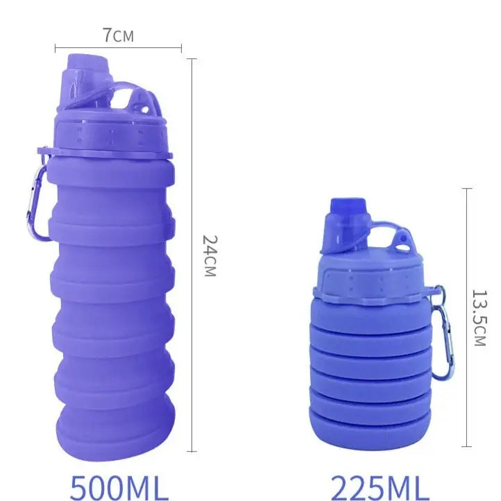 Collapsible Travel Water Bottle - 500ml / Purple