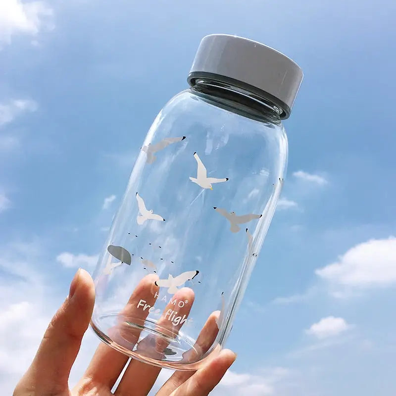 Cute Kids Glass Water Bottle - Seagull 500ml