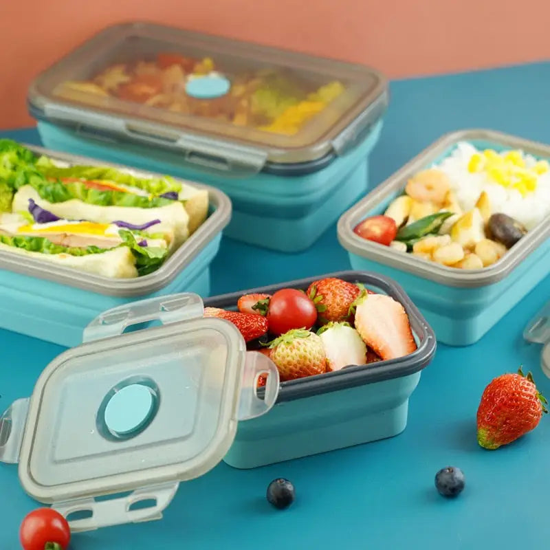 Eco Bento Box