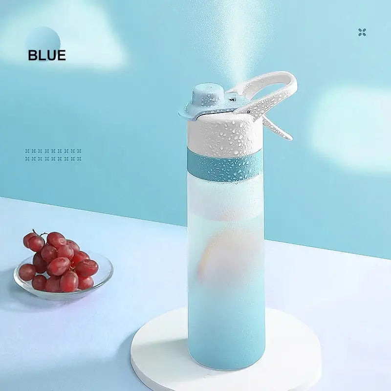 Frosted Gradient Sports Water Bottle