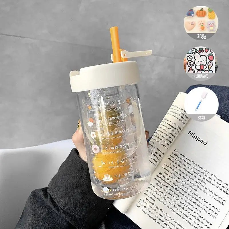 Insulated Glass Water Bottle - White-500ML-Gift