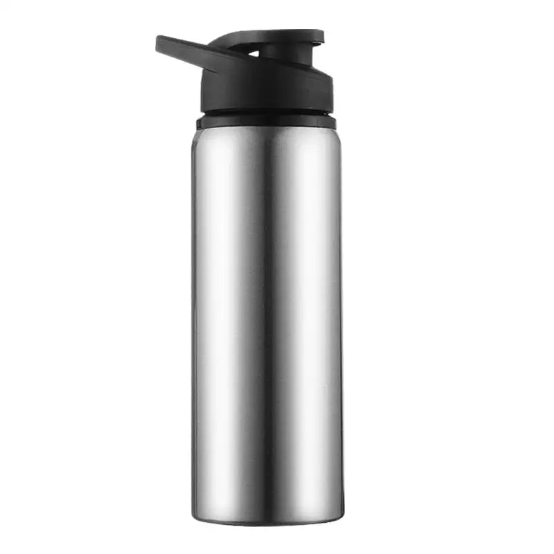 Insulated Sports Water Bottles - 601-700ml / Silver