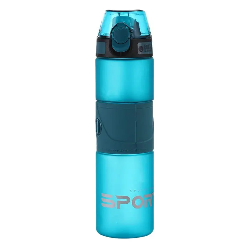 Jogging Sports Water Bottle - 500ML / Lake Blue