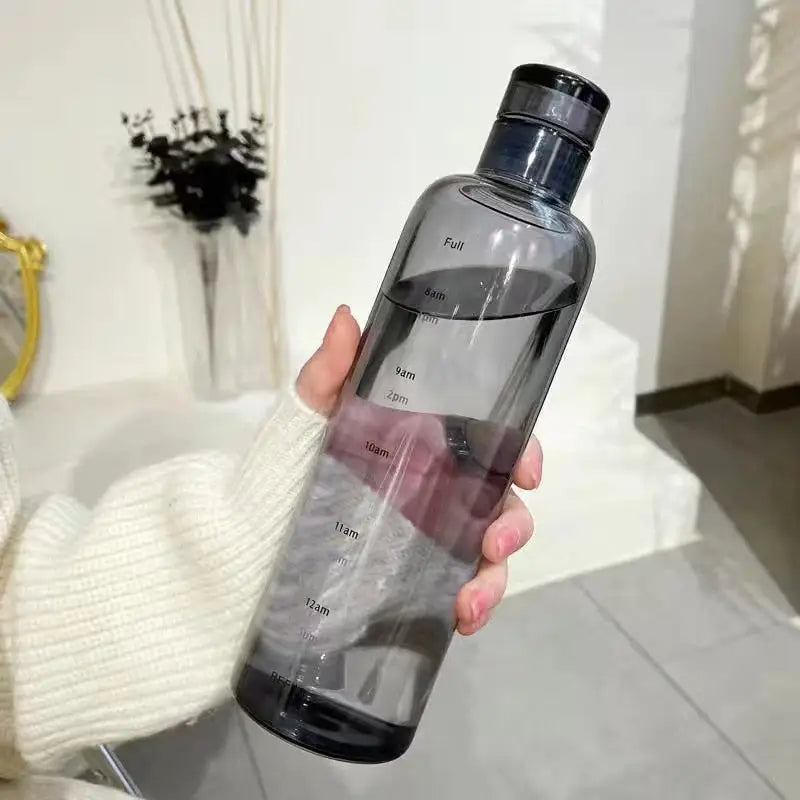 Leakproof Glass Water Bottle - Grey / 500ml