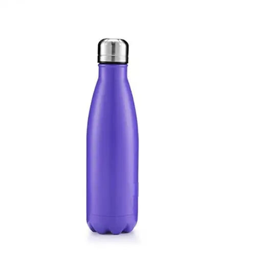 Stainless Steel Insulated Water Bottles - 750ml / Purple